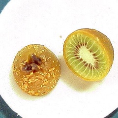 kiwi_1001_44
