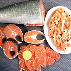 closesalmon6_1001_60