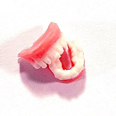false-teeth_1001_79