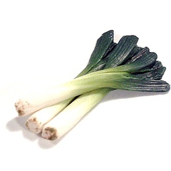 leeksbunch_1001_8