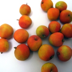apples_rosy (10088_12)