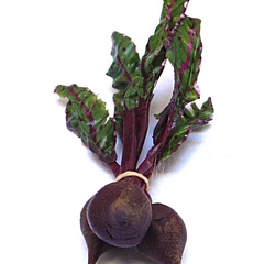 beetroot (10637_0)