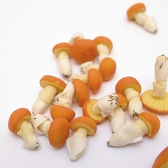 mushroom_amanita_orange (11765_4)