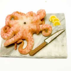 new_octopus_board (11868_0)