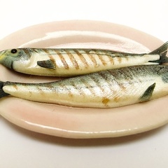 mackerel_grilled_pink_plate_2 (11868_21)