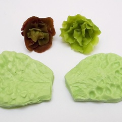 Image of Crinkly Lettuce Veiners #4