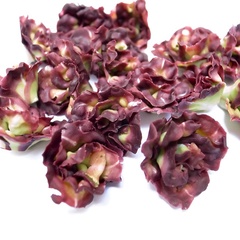 red lettuce single (12293_12)
