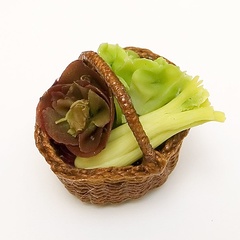 veg basket 2 lettuce celery (12293_2)