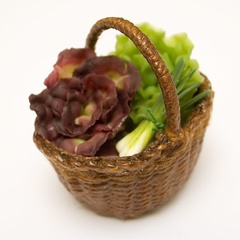 veg basket 2 lettuce and spring onion 2 (12293_9)