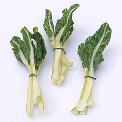 chard_bunch_white (12683_12)