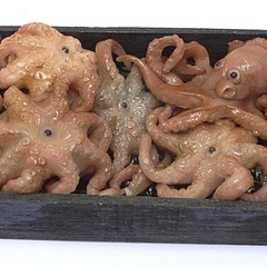 octopus_crate (12683_14)