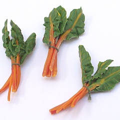 chard_bunch_orange (12683_15)