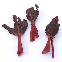 chard_bunch_red (12683_2)