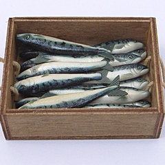 mackerel_crate (12683_8)