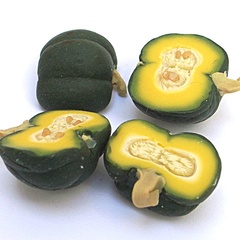 squash_yellow_half (12795_2)