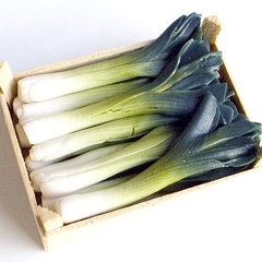 leeks crate (1759_1)