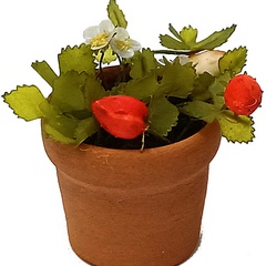 Image of <b>NEW:</b> Strawberry Pot Small