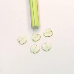 apple (4345_1)