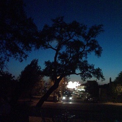 448_4_moody-campo