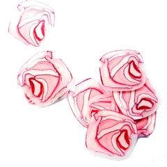 r0012466 (4888_11)