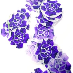 r0012476 (4888_14)