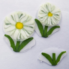 r0012527 (4888_29)