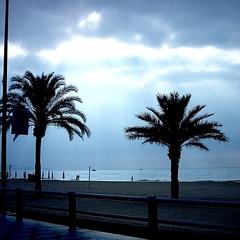 501_1_alicante2