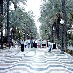 501_2_alicante3