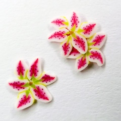 lily (5202_7)