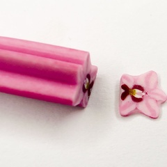 orchid-simple (5271_3)