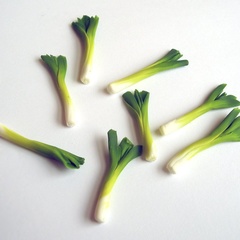 leeks (5661_1)