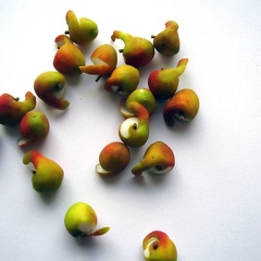 apple peeled (6250_0)