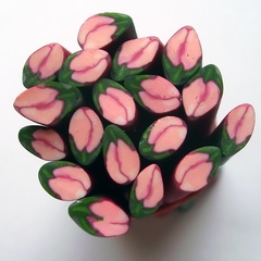 rose buds (6806_3)