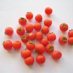 tomato single (7065_0)