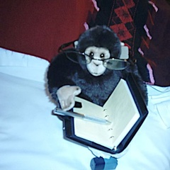 779_3_monkey1
