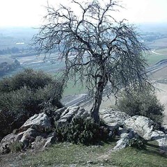 787_1_castle1