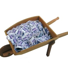 wheelbarrow_english (7938_3)