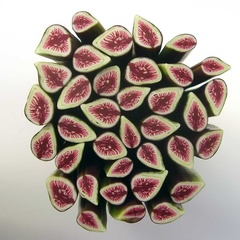 fig (8034_14)
