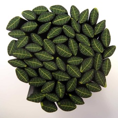 rose leaf (8034_37)
