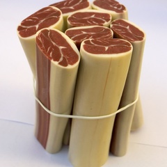 parma (8978_0)