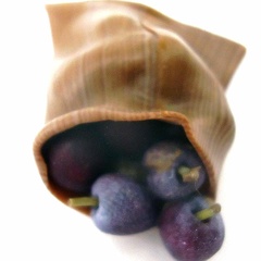 Plums, bag