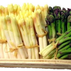 asparagus (9602_6)