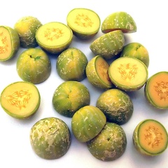 half webbed melon (9602_8)