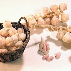 garlics_999_2