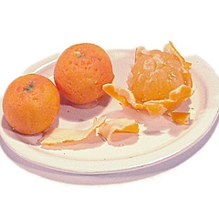 satsuma untitled_999_26