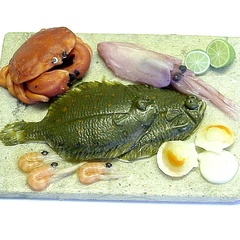 fishboard_999_27