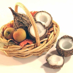 coconut-basket_999_41