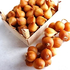 copyofonions_999_8