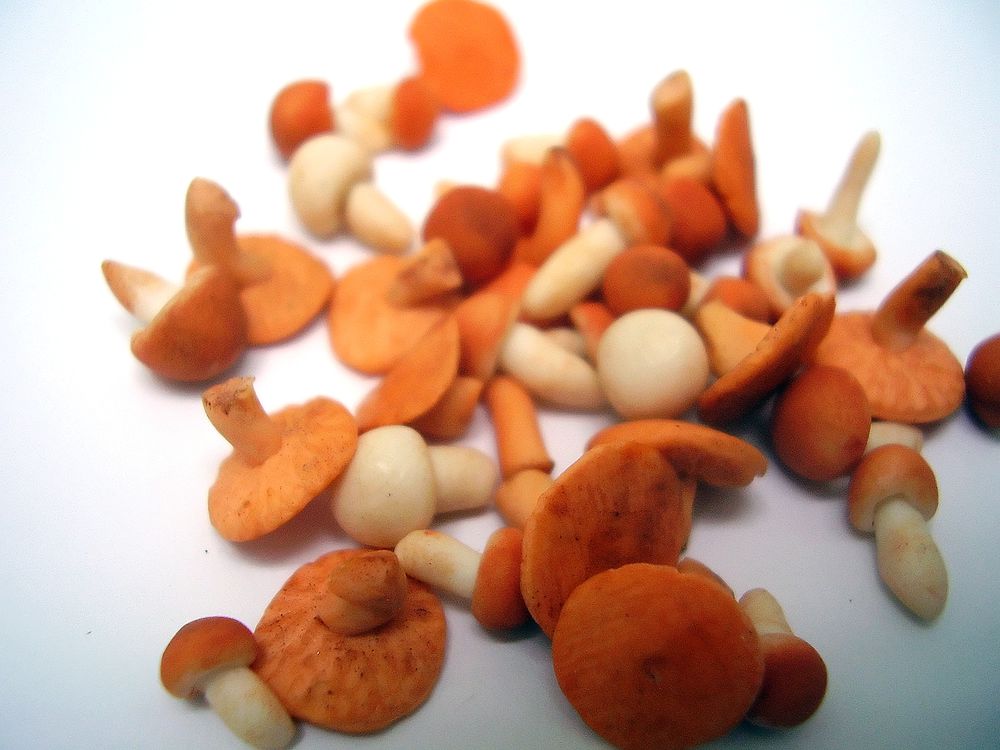 TX Miniatures Market Place Trade html Vegetables, Wild Mushrooms pk6