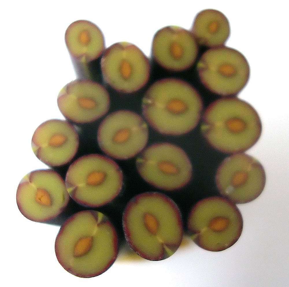 Canes  Fine and Superfine Slices html 6277, Plum MultiCane